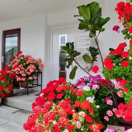 Alpendohle Apartmán