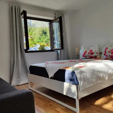 Alpendohle * Innsbruck