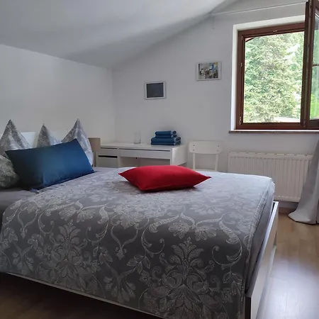 Alpendohle * Innsbruck