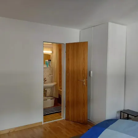 Alpendohle Innsbruck