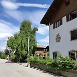 Alpendohle * Innsbruck
