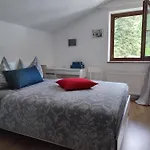 Alpendohle * Innsbruck