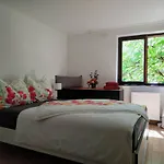 Alpendohle Apartman *