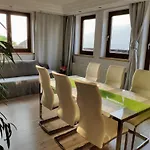 Alpendohle Innsbruck