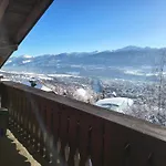 Alpendohle Innsbruck