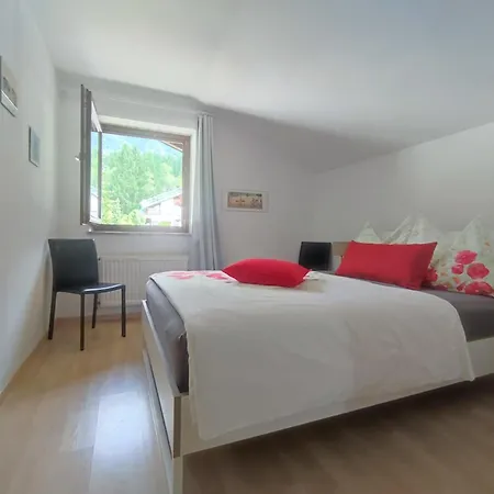 Alpendohle * Innsbruck