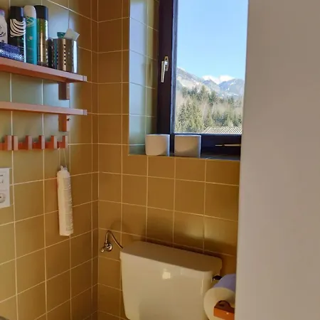 Alpendohle * Innsbruck