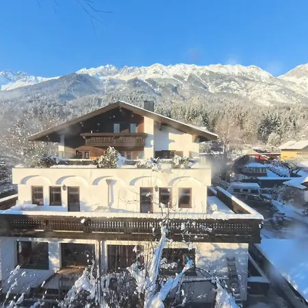 Alpendohle * Innsbruck