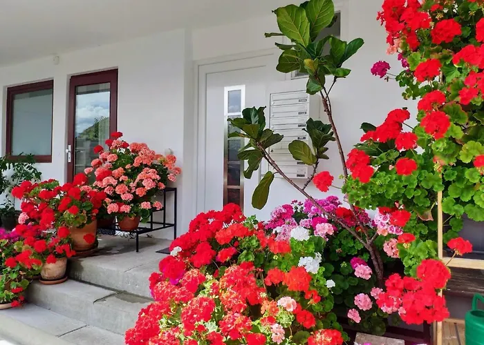 Alpendohle Апартаменты