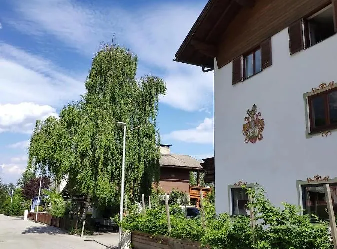 Alpendohle * Инсбрук