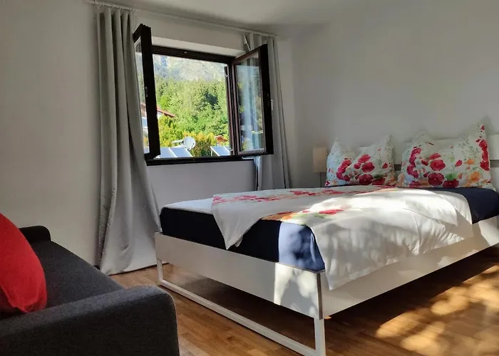 Alpendohle * Инсбрук