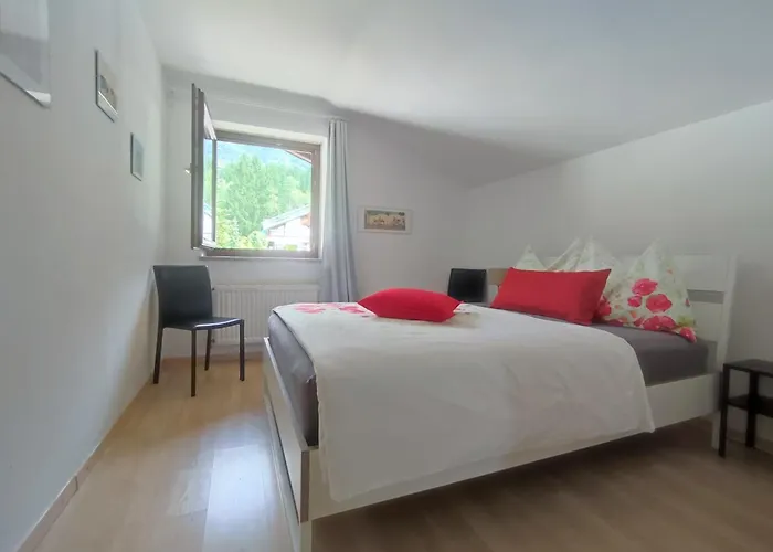 Alpendohle * Инсбрук