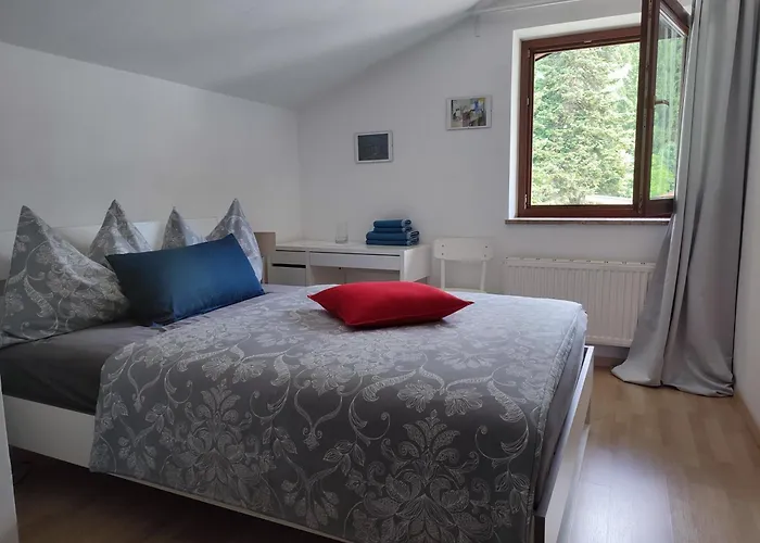 Alpendohle * Инсбрук