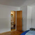Alpendohle Инсбрук