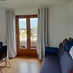 Alpendohle *
